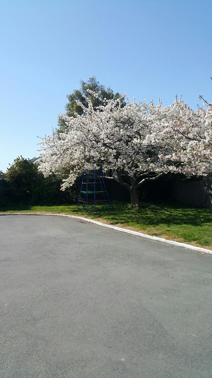 רנגיורה Lilybrook Motel מראה חיצוני תמונה